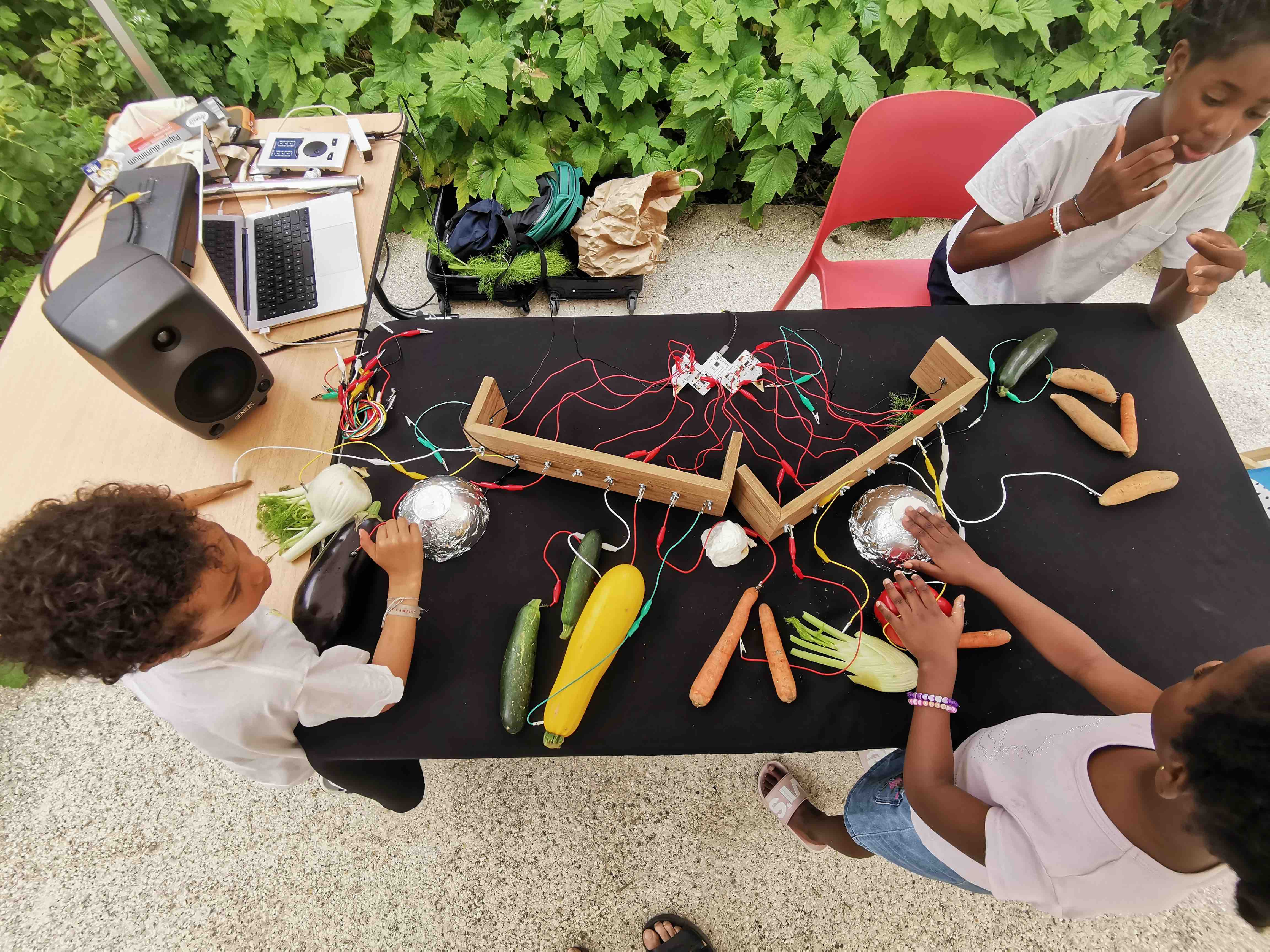 Synthés & Légumes ! 14/06/25